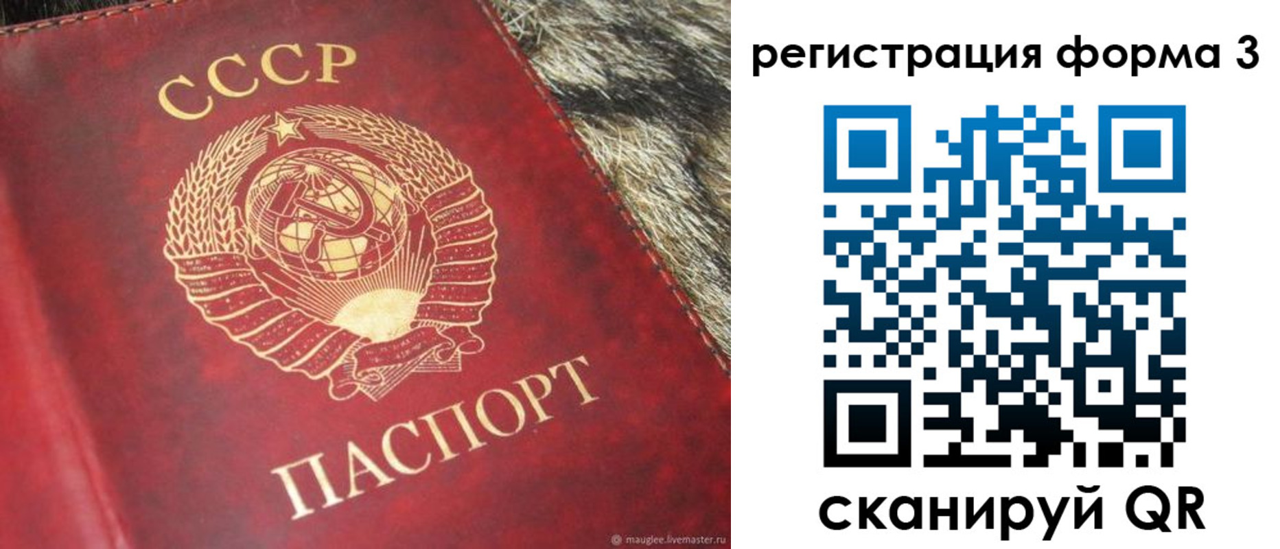 прописка регистрация в Богородске